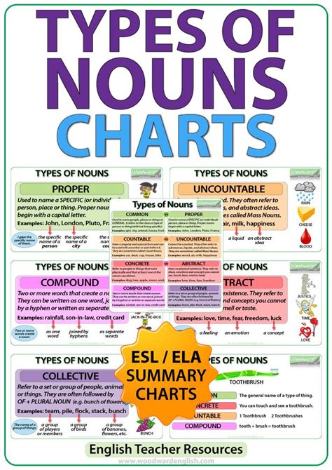 types  nouns  english charts   esol ela classroom common
