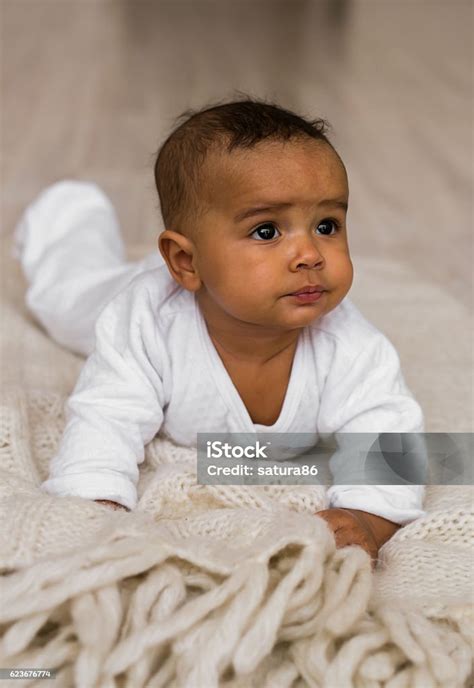 Three Month Old African American Baby Boy Stock Photo Download Image
