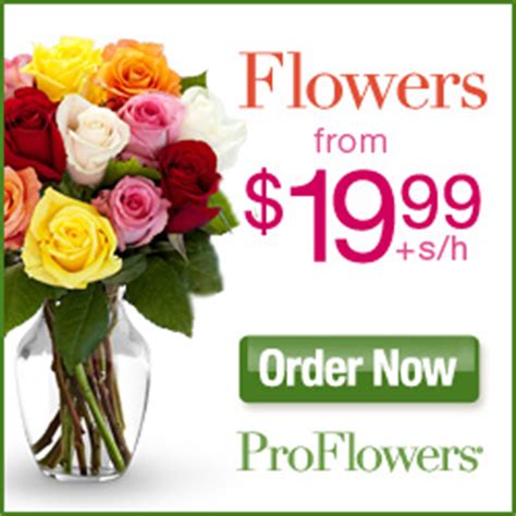 Roses, tulips, lilies, daisies, irises, orchids, poms ProFlowers Coupon Code 25% Off: Coupons for March 2015