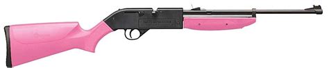 Crosman 760p 760 Pumpmaster Pump 177 Pellet177 Bb 18rd Black Pink