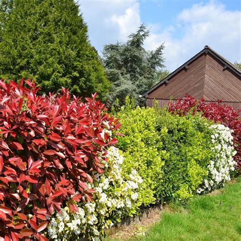 Weitere ideen zu garten, garten hecken, gartengestaltung. Pin on Garten
