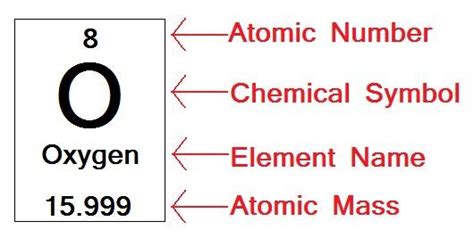 The oxygen atom 