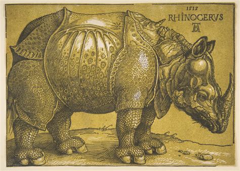 Albrecht Dürer The Rhinoceros The Metropolitan Museum Of Art