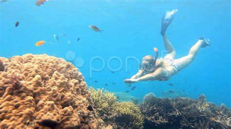 Young woman dives to coral reef Stock Footage,#dives#woman#Young#coral 