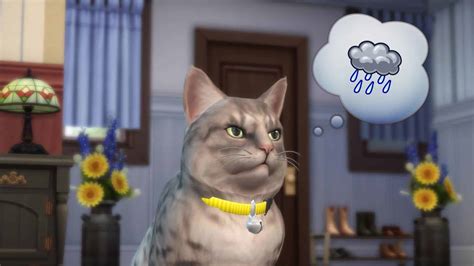 Speculation Possible Hints For Seasons In The Sims 4 Cats And Dogs Trailer