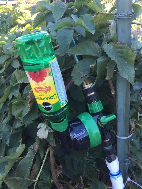 Beware of fertilizing too much or too. Irrigation Drip System Filtration and Fertilizer Injection ...