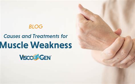 Causes And Treatments For Muscle Weakness Viscogen™