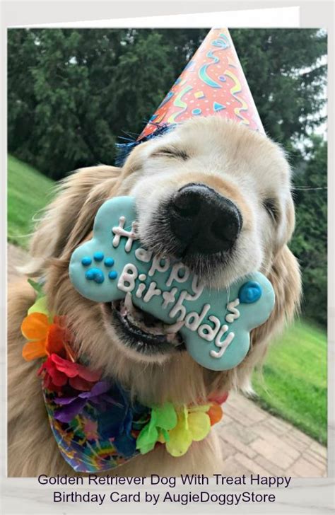 Golden Retriever Dog With Treat Happy Birthday Card In