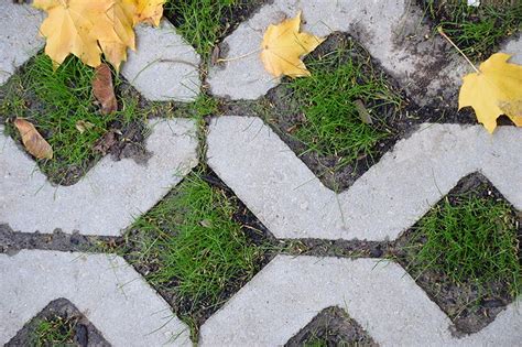Use grass as the grout between the pavers in your driveway to add character and support. Planting A Grass Driveway With Grow-Through Pavers