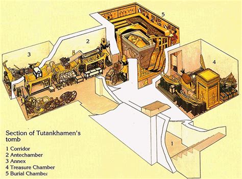 experts believe king tut s tomb contains secret chambers and his mother queen nefertiti s burial room