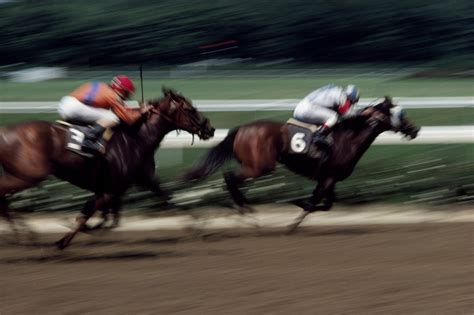 En équitation, cheval dont l ' entraînement et la morphologie le destine à effectuer des courses hippiques de vitesse, dirigées par des jockeys. Comment devenir propriétaire d'un cheval de course