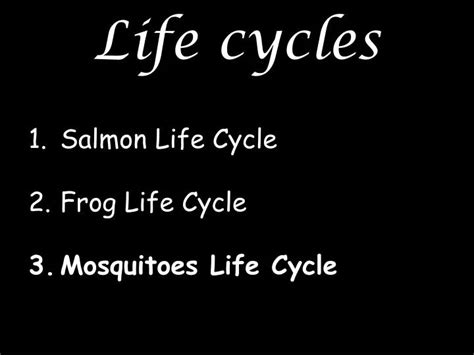 Ppt Life Cycles Powerpoint Presentation Free Download Id1144820