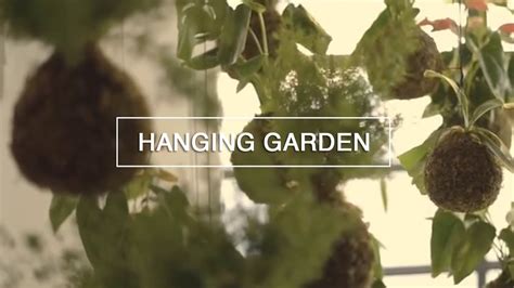 Diy Hanging String Garden Green Renaissance Youtube