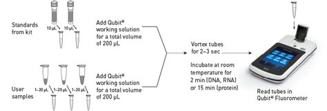 Life Invitrogen Qubit Q