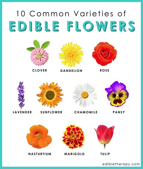 Each flower can be identified by its leaves, height. Edible Flowers - at the Intersection of Nutrition and ...