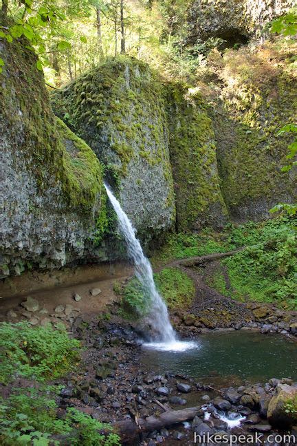 Horsetail Falls Trail Loop Oregon