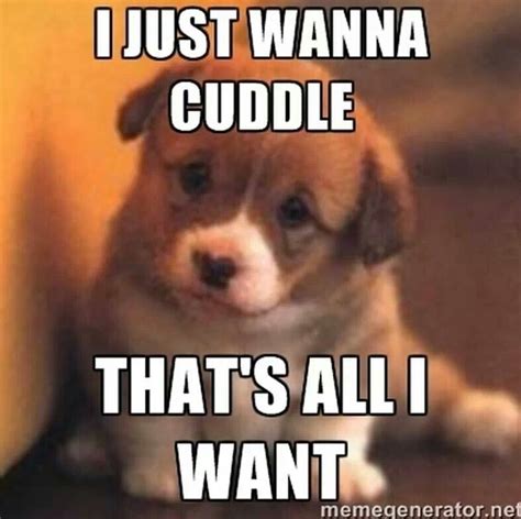 I Just Wanna Cuddle Ive Got A Meme For That Puppy