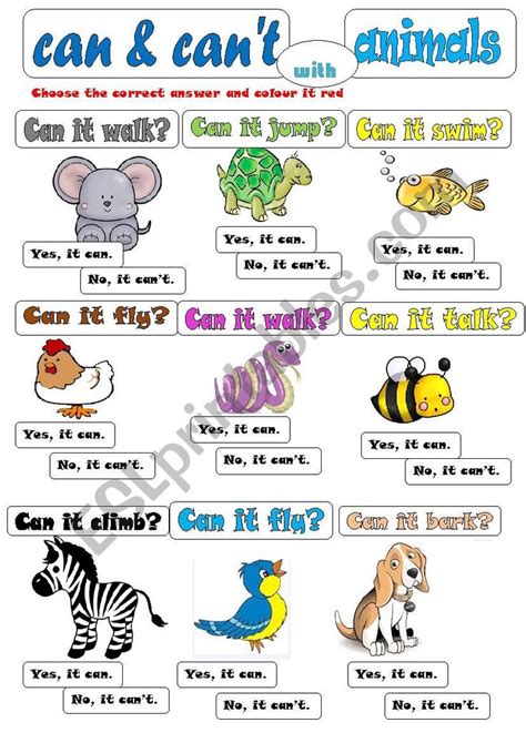 Can Can´t Animals Some Simple Verbs Very Colourful And Enjoyable For