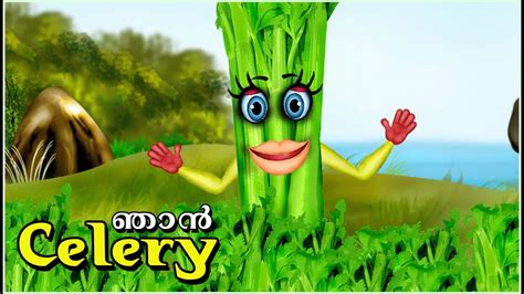 The Speaking Celery Malayalam Kids Animation Youtube