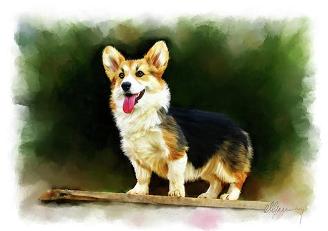 Pet Dog Portrait Painting By Michael Greenaway