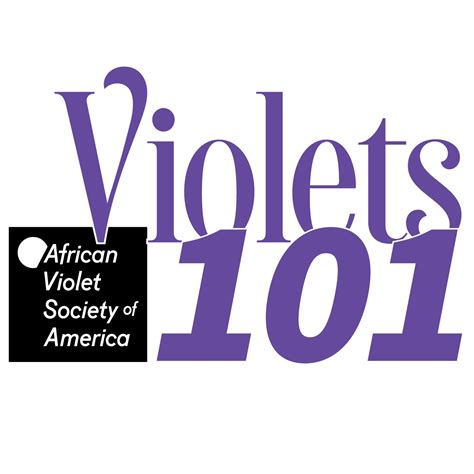 Secrets To Blooming Success African Violet Society Of America