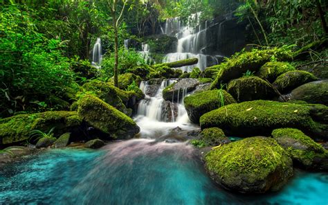 Beautiful Waterfall In Green Forest Wallpaper High