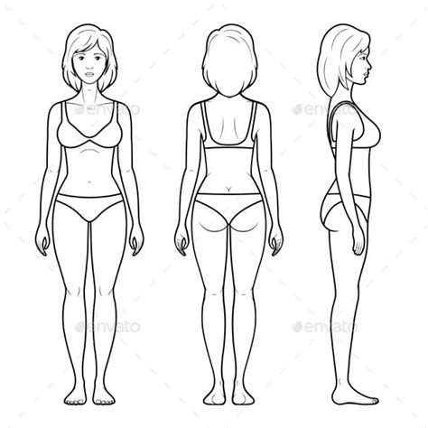 Vector Illustration Of A Female Figure Front Rear And Side View In Underwear Character Modeling