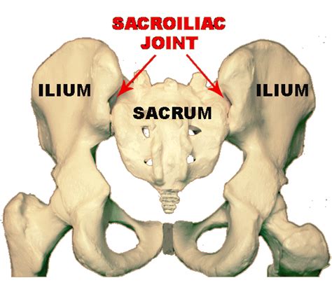 Sacroiliac Joint Disorder Singapore Sports And Orthopaedic Surgeon