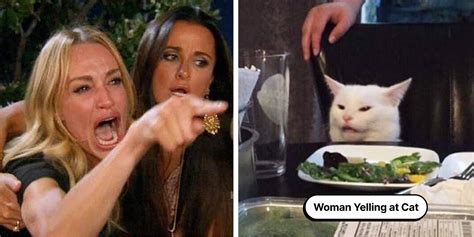 Woman Yelling At Cat Meme Template Figma Community