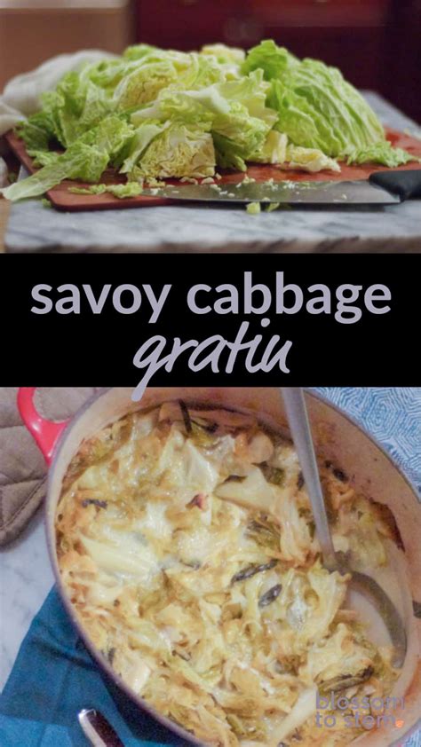 Savoy Cabbage Gratin With Delice De Bourgogne Meltingly Tender Ruffly