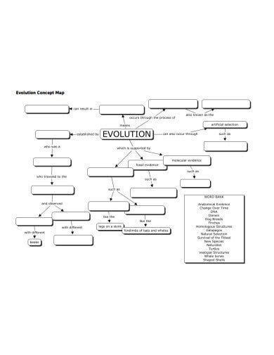 8 Evolution Concept Map Templates In Pdf Doc