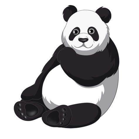 Fondo Transparente Pandas Gigantes PNG Play