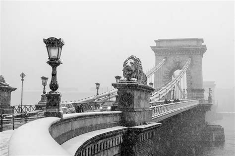 Wallpaper Water Snow Winter Lion Bridge Budapest Hungary