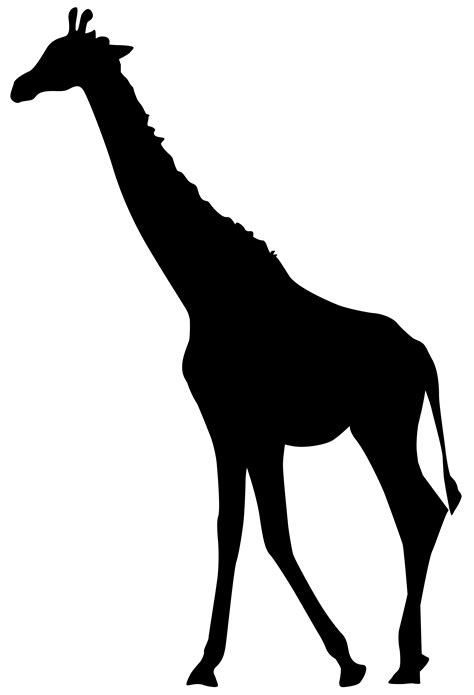 Giraffe Scalable Vector Graphics Giraffe Silhouette Png Transparent