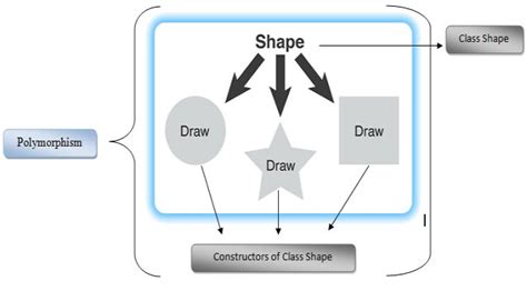 Learn Object Oriented Programming Using C Part 7