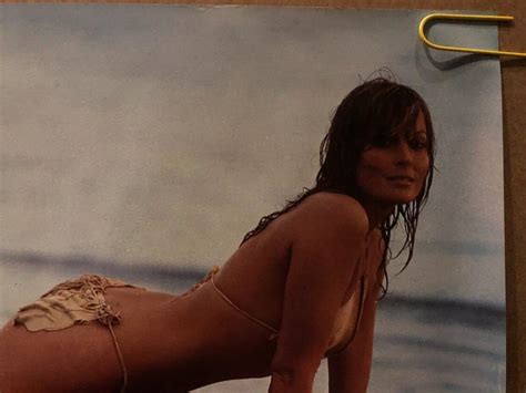 Bo Derek Original Vintage Poster Sexy Beach Pin Up Girl Woman Headshop