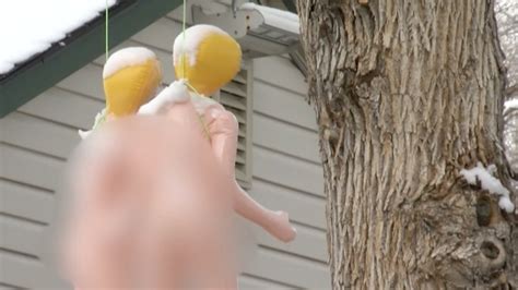 Neighbors Upset Over Blow Up Dolls Being Hung On Trees