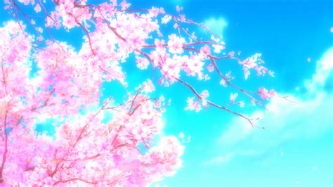Are you searching for sakura tree png images or vector? Anime Sakura Trees HD Wallpapers - Wallpaper Cave