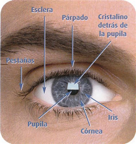 El Ojo Optica Sabinas