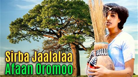 Sirba Jaalalaa Afaan Oromoo Youtube