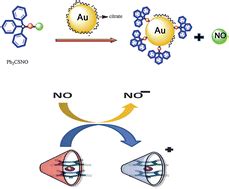 Naked Eye Detection Of Nitric Oxide Release From Nitrosothiols Aided By Gold Nanoparticles