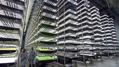 vertical farming agriponics vertical farming