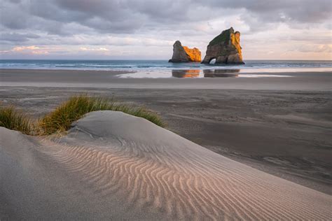 Wharariki Sunrise Daniel Murray Photography New Zealand Landscapes