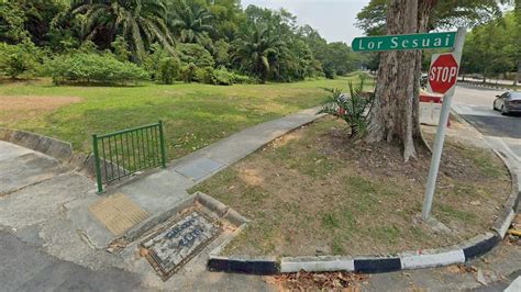 The name bukit batok was supposedly derived from the malay words, bukit (hill), which corresponds to the hilly nature of the region, and batok, which some one special feature of bukit batok is the many parks in the neighbourhood, including bukit batok town park (often considered part of bukit. Woman found dead near Bukit Batok Nature Park suffered ...