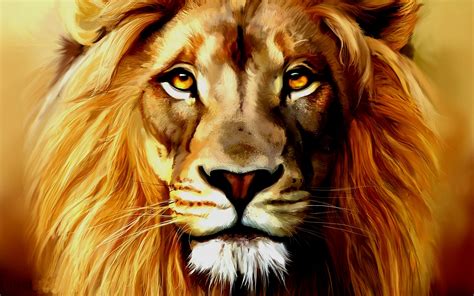 Download Lion By Rpowell5 Lion Art Wallpaper Lion Wallpapers