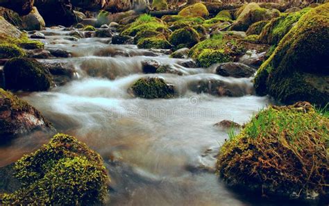 Small River In Long Exposure Stock Image Image Of Moss Small 125037709