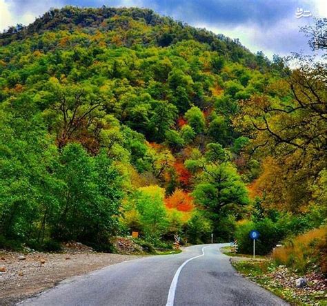 جاده جنگل توسکستان گرگان زیباترین جاده ایران عکس ساتین