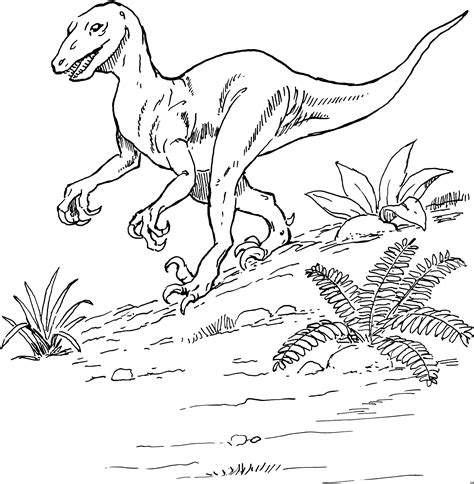 T rex ausmalbild malbilder malvorlage dinosaurier dinosaurierbilder zeichnung dinosaurier. T Rex Mit Pflanzen Ausmalbild & Malvorlage (Tiere)