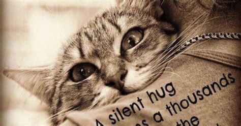 kitty hugs | All things CAT | Pinterest | Classic Memes ...