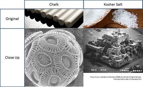 Observe various salt crystals under the microscope. Pin on Things Under Microscope